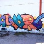 IMG_6307