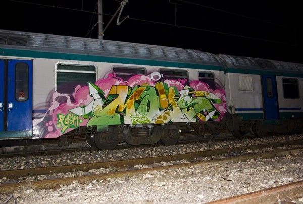 moass copia_opt
