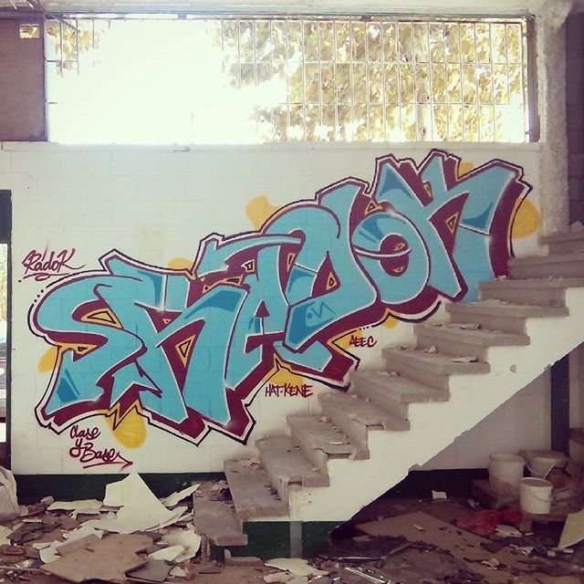 017Radok escala